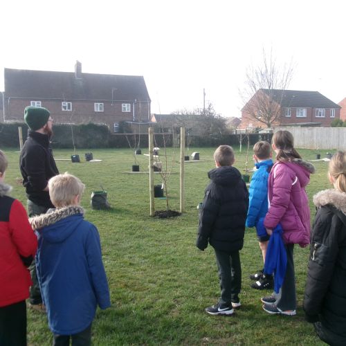 Tree Planting