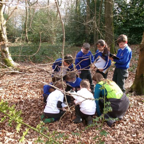 Outdoor Learning